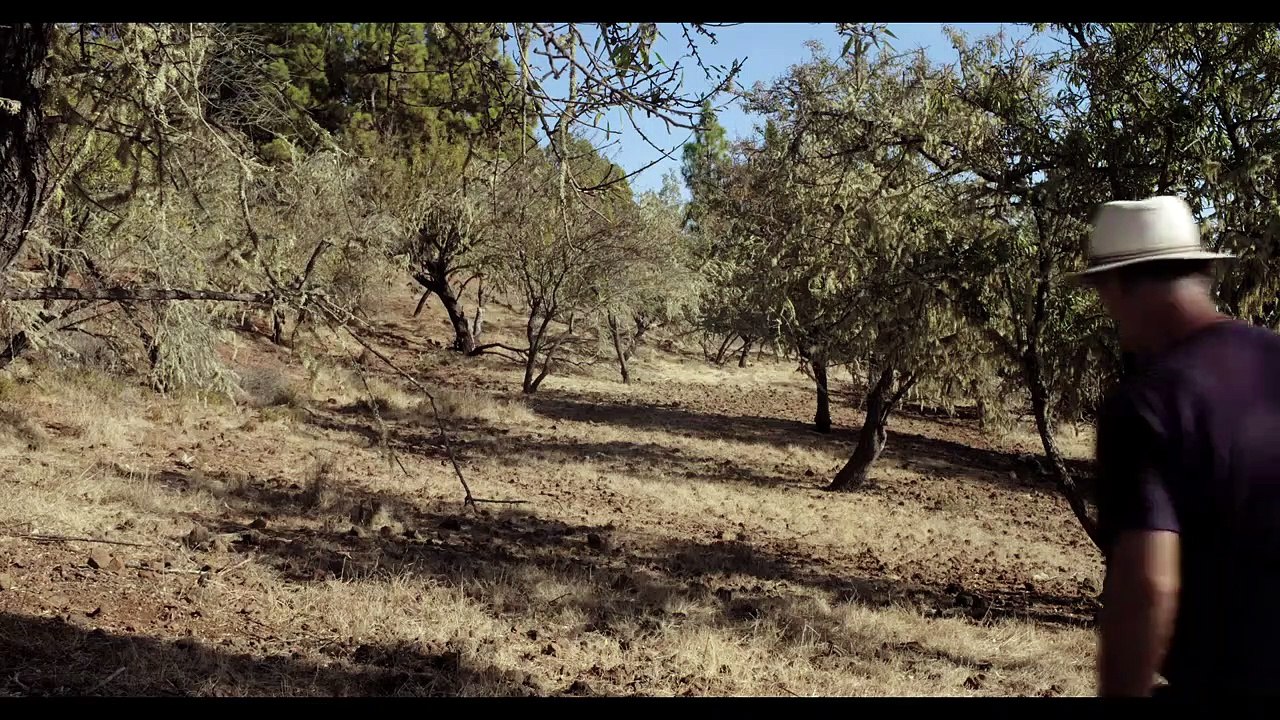 But Beautiful –  Erich und Barbara Graf