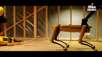 चुनिंदा कस्टमर के लिए रोबोट डॉग लॉन्च किए, -20° से 45° सेल्सियस तापमान में भी काम करेगा