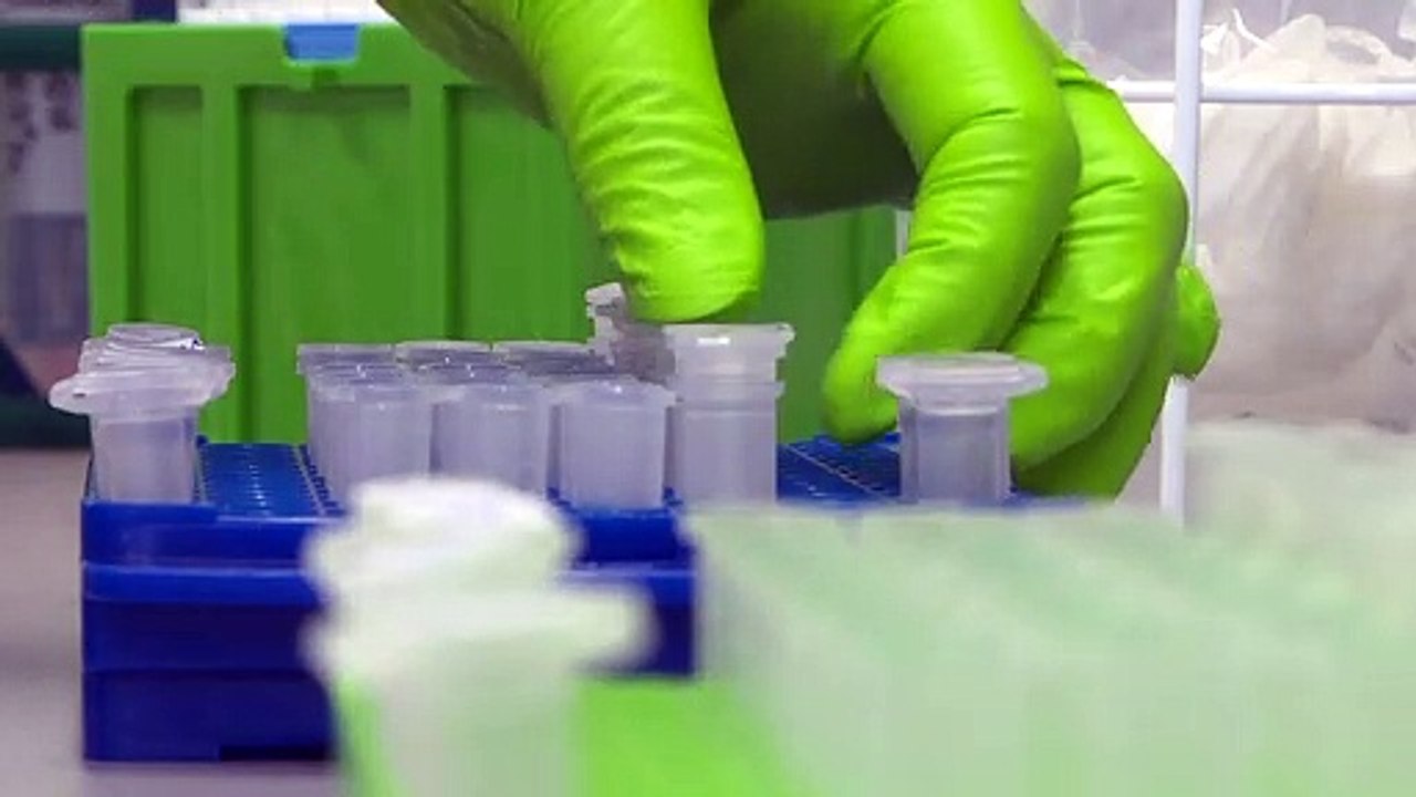 Gefährliche Stechmücken: West-Nil-Virus in Deutschland