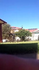 Freerunning 3: Jumping Over a Table