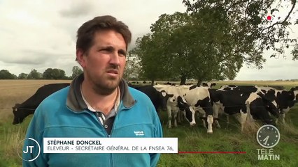 Incendie à Rouen : "On a besoin d'en savoir plus sur les risques", réclame un éleveur touché