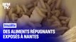 À Nantes, une exposition propose de goûter des aliments répugnants