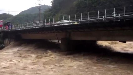 Borçka'da şiddetli yağış (2)