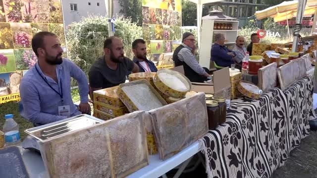Terörden temizlenen Uludere'de huzur festivali