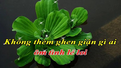 [Karaoke] Tựa Cánh Bèo Trôi _