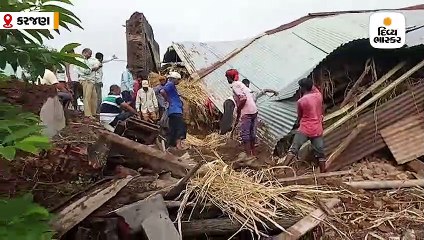 કરજણના કોઠિયા ગામે દિવાલ નીચે દટાતા ભેંસનું મોત