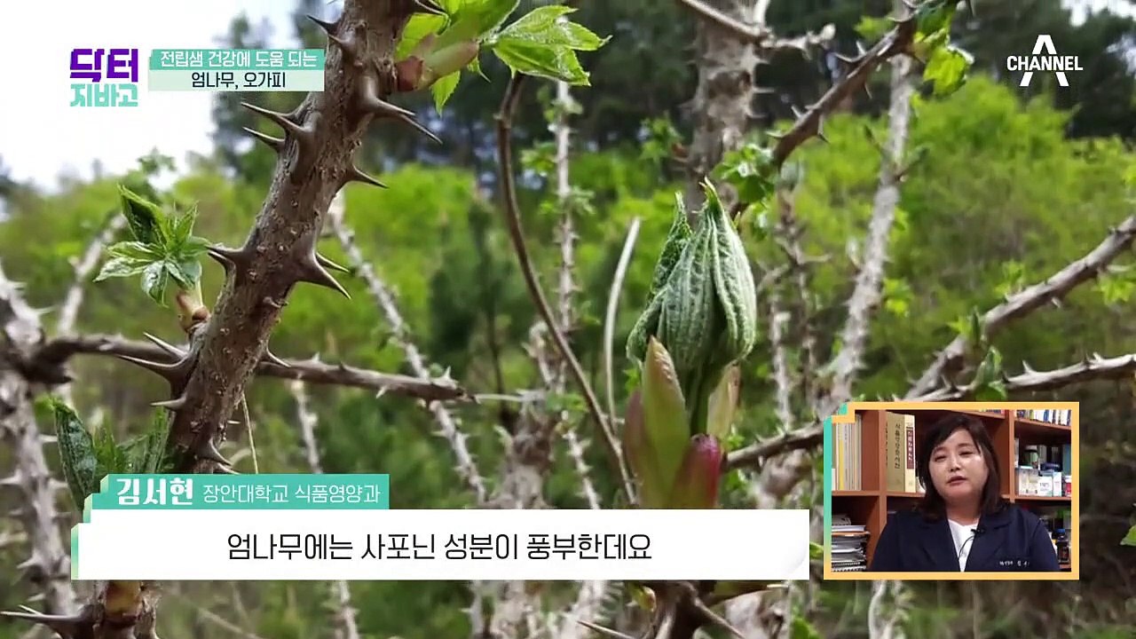 두 번이나 암을 이겨낸 사연자가 알려주는 건강 비법 大공개!(ft.췌장암,전립샘암)