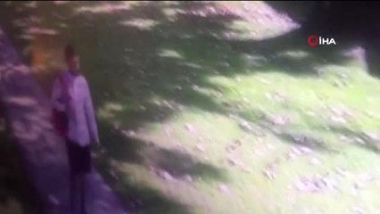 Süleymaniye Camii avlusunda hırsızlık yapan şahıslar kamerada