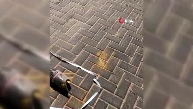 - Mısır Topraklarından İsrail'e Havan Topu Saldırısı