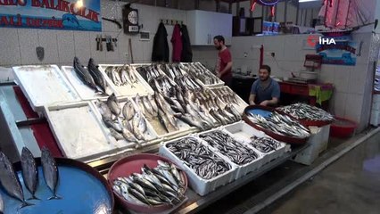 Hamsi bollaşmaya başladı, fiyatlar 10 TL'ye düştü