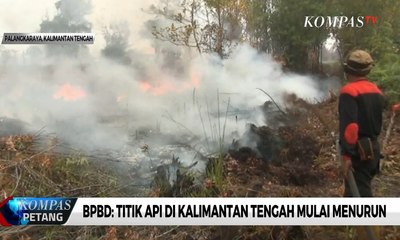 BPBD: Titik Api di Kalimantan Tengah Mulai Menurun