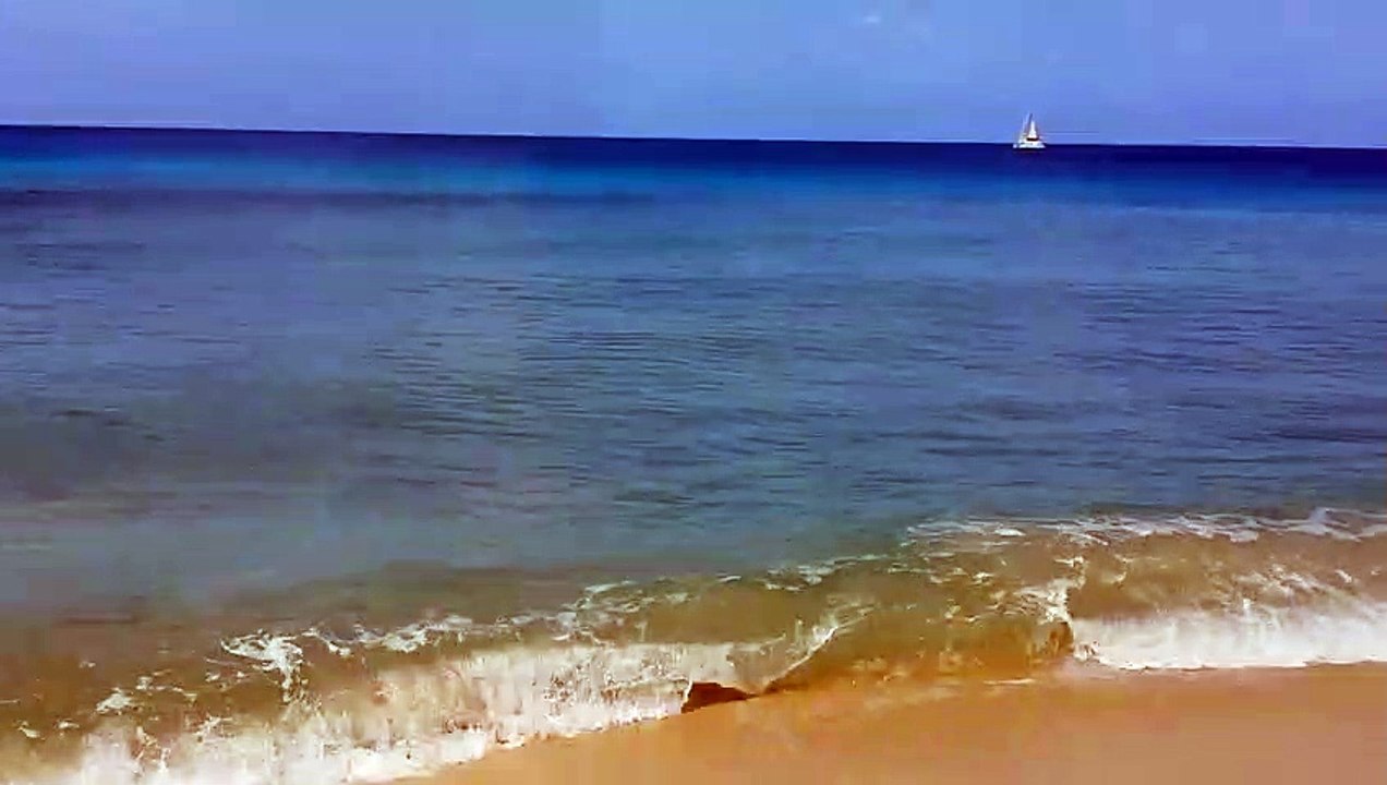 Lost Without You - Beautiful Tropical beach view