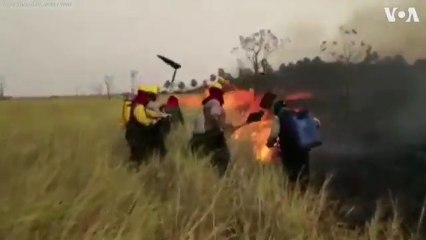 Fuegos en el bosque seco de la Chiquitanía (Bolivia).