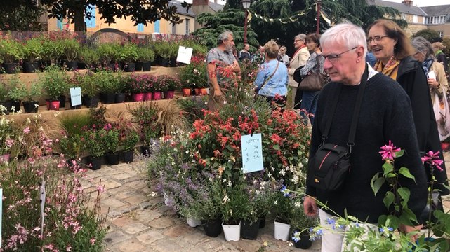 Le Mans. Quand la ville revêt son habit vert…
