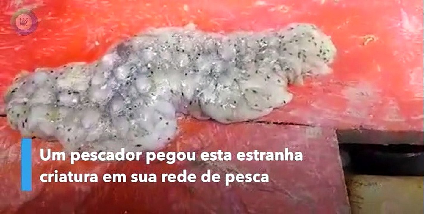 TAILANDIA  - HOMEM PESCA CRIATURA DIFERENTE