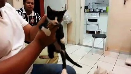 Il nous montre comment neutraliser un chat facilement