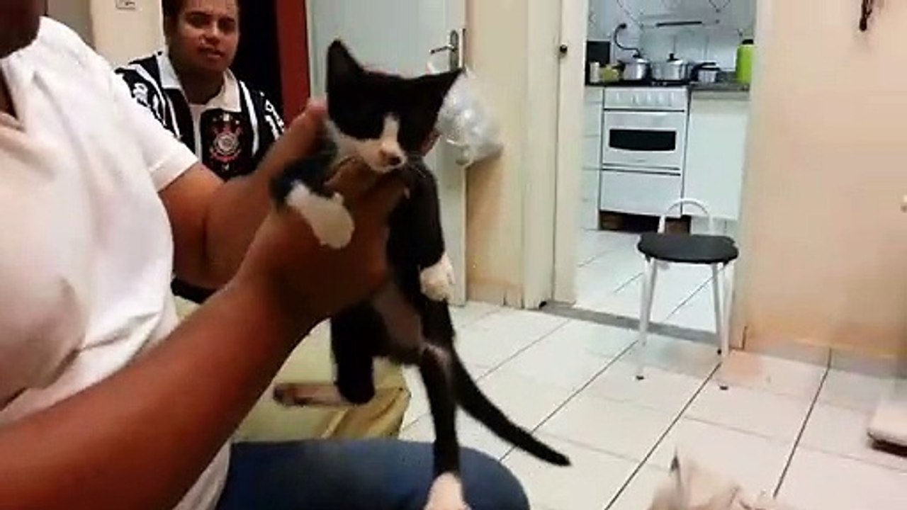 Il nous montre comment neutraliser un chat facilement