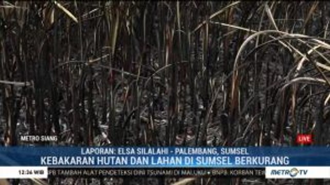39 Titik Panas Masih Terdeteksi di Sumsel