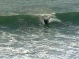 Quiberon bodyboard sauvage