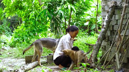 "Banh Te" - eat once but still remember forever