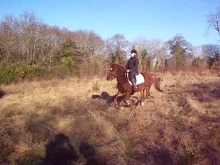 Indien Nono Léa Camille Clem et Mimi et Coquette 022