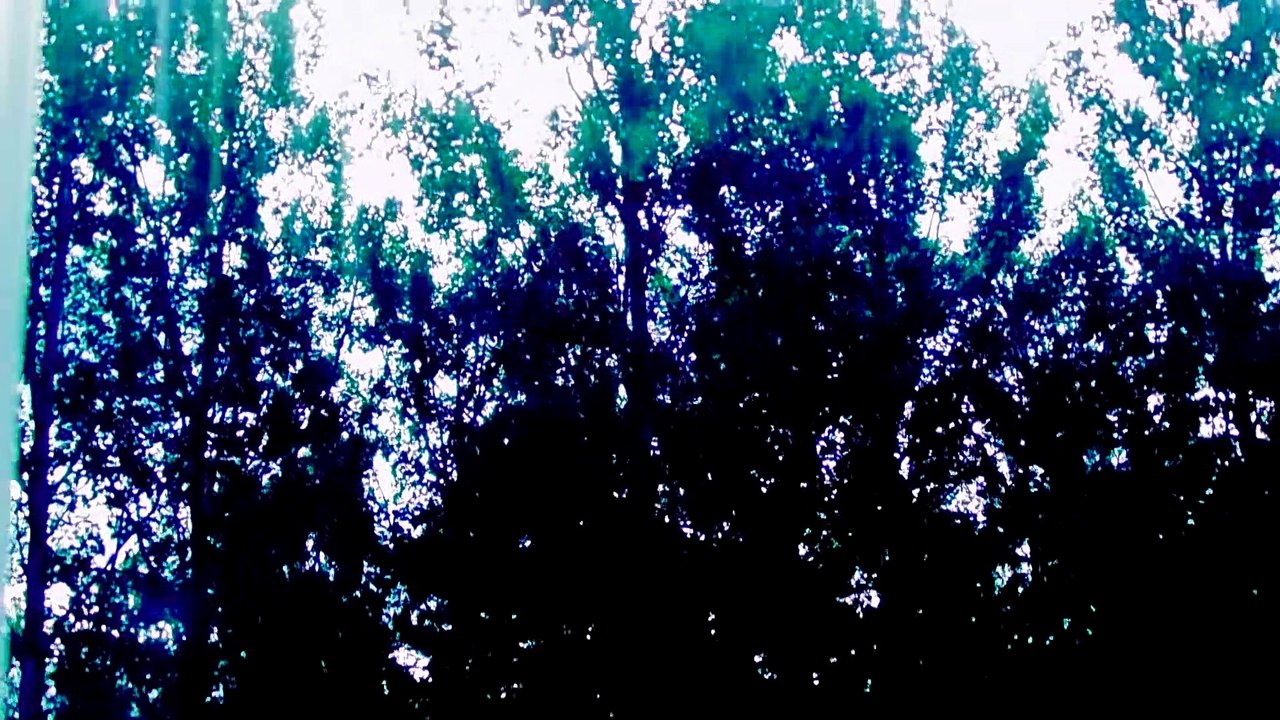 Aug 20 2019 DL3