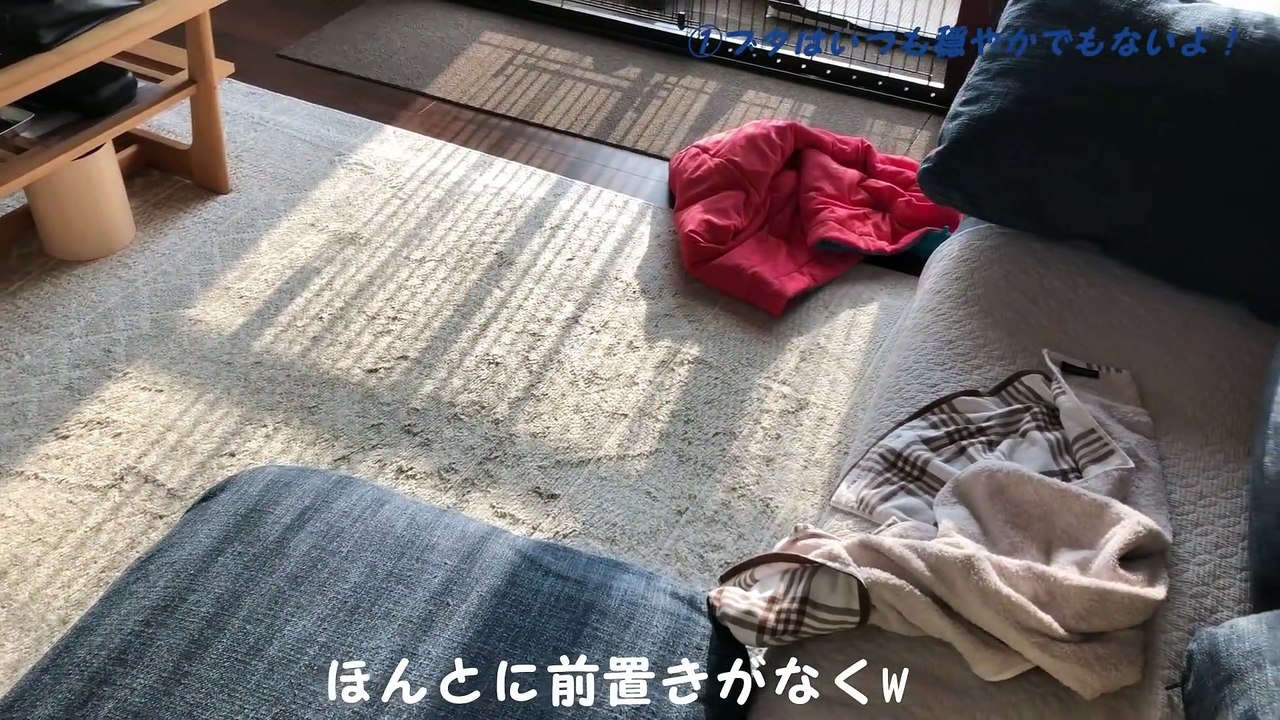 マイクロブタ室内飼いして感じたこと
