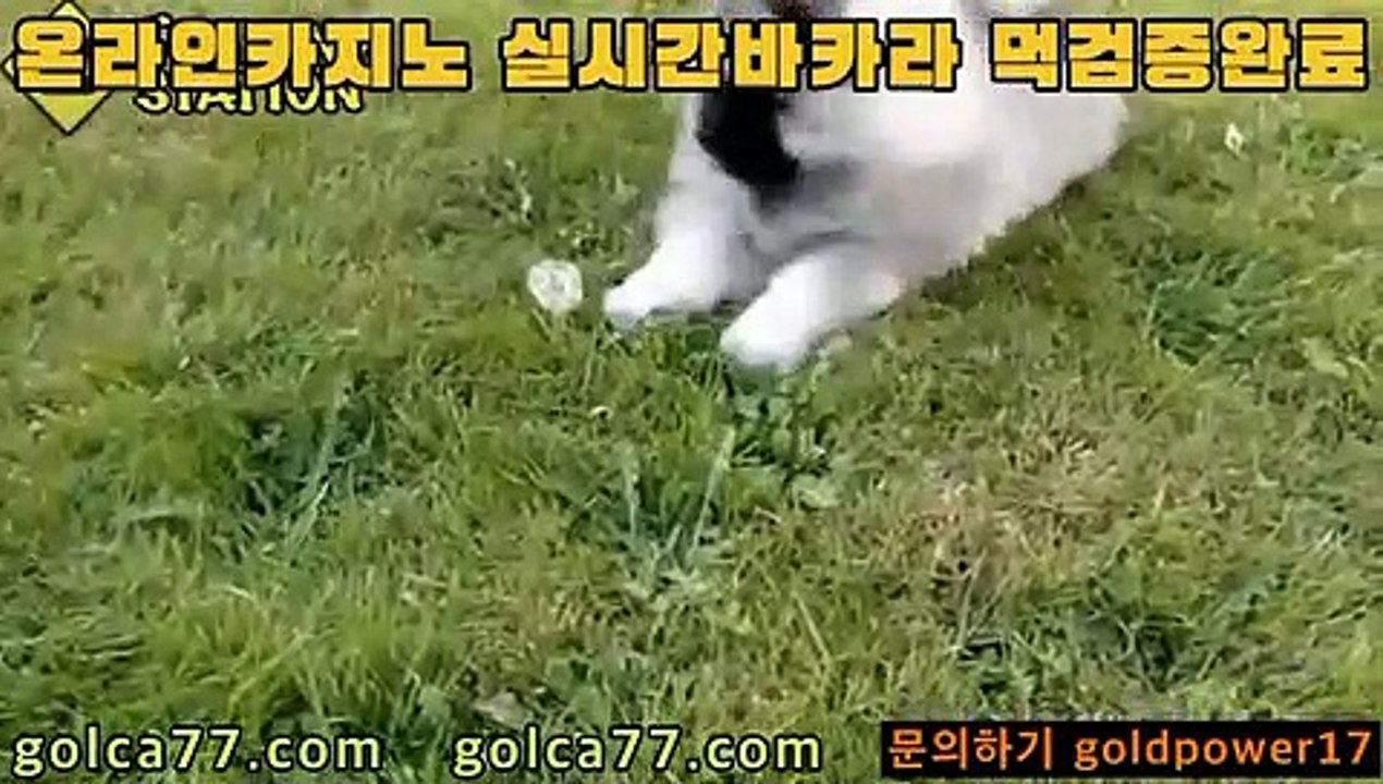 [#뮬라웨어만원의행복시즌2]       #ㅂㅏㅋㅏ라승ㄹㅣ법       #ㅂㅏ카라따는법      본사직영 갑시다잉 가즈아ㅏㅏ       #골드ㅋㅏㅈㅣ노       입장▶ㄱㄱ  banker19.com       여기 실화임? ㅇㅇ       #카ㅈㅣ노 #카ㅈㅣ노       #인ㅌㅓ넷ㅂㅏ카라       [#설리인스타그램]