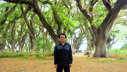 Qiroah Suara Merdu - Surat Al-Ahjab [Official]