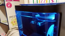 Gignac :  Serge Falzon propose une imprimante 3D pour réparer