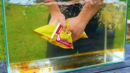 Experiment- Giant Mentos Balloon Put in Coca Cola