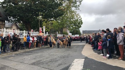 Mille-Sabots, le défilé lance la 20e édition