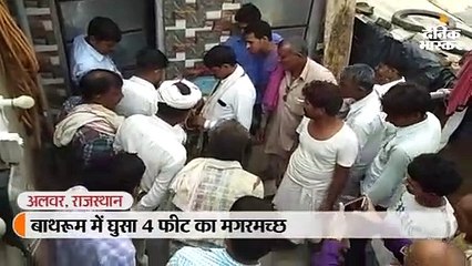 Télécharger la video: घर के बाथरूम का दरवाजा खोलते ही महिला को दिखा मगरमच्छ, वन विभाग ने किया रेस्क्यू