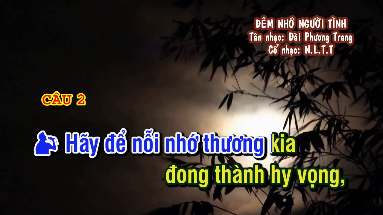 ĐÊM NHỚ NGƯỜI TÌNH Tân Cổ KaraOke Song Ca Tân nhạc- Đài Phương Trang - Cổ nhạc- N.L.T.T