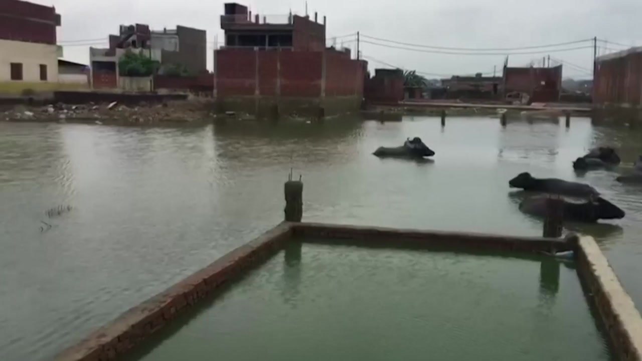 인도 북부 홍수로 60여 명 사망...힌두교 성지도 큰 피해 / YTN