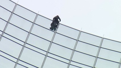 '프랑스 스파이더맨', 20여 분 만에 독일 42층 빌딩 등반 / YTN