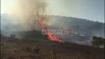 Report TV - Zjarr në fshatin Xhuherinë në Vlorë, banorët: Na janë djegur rreth 5 mijë rrënjë ullinj