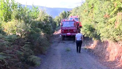 Beykoz'da orman yangını