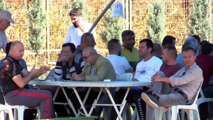 Güvercinlerin 'başpehlivanına' da altın kemer verildi - EDİRNE