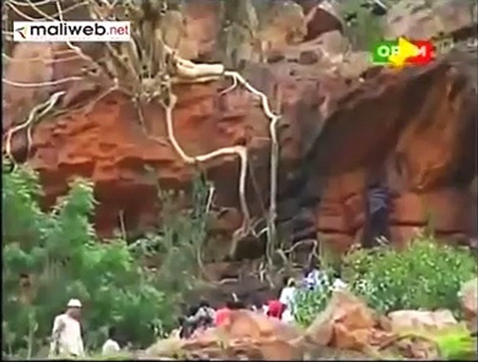 arbre mali