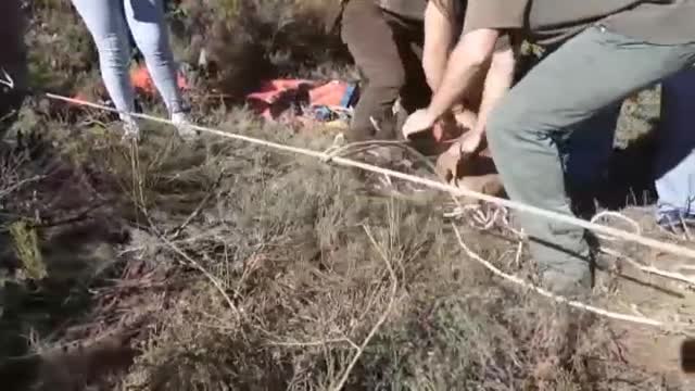 El increíble rescate de los bomberos a dos perros atrapados en un pozo