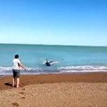 Ce touriste va voir surgir quelque chose de terrifiant devant lui en bord de plage