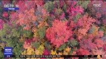 [투데이 영상] 가을 정취 물씬, 드론으로 포착