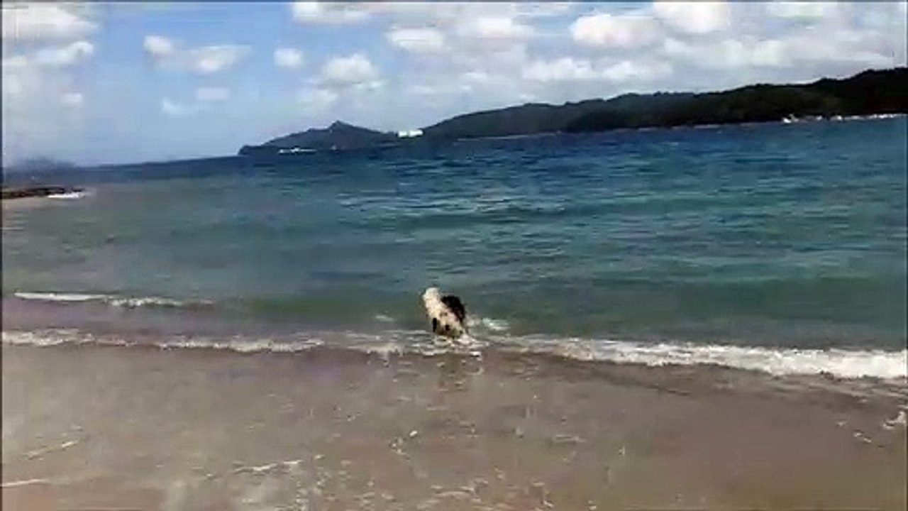 天橋立