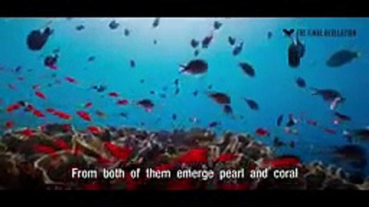 HQ Surah Rehman  تلاوة خاشعة جدا سورة الرحمن كاملة