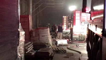 Manisa'da fabrika yangını