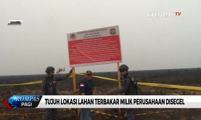 Download Video: Tujuh Lokasi Lahan Terbakar di Jambi Milik Perusahaan Disegel