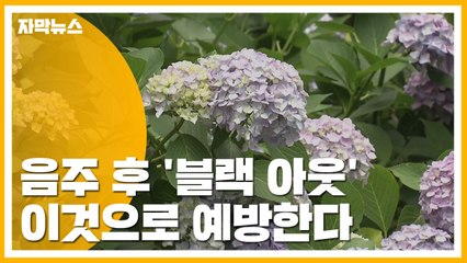 [자막뉴스] 음주 후 '블랙 아웃', 이것으로 예방한다 / YTN