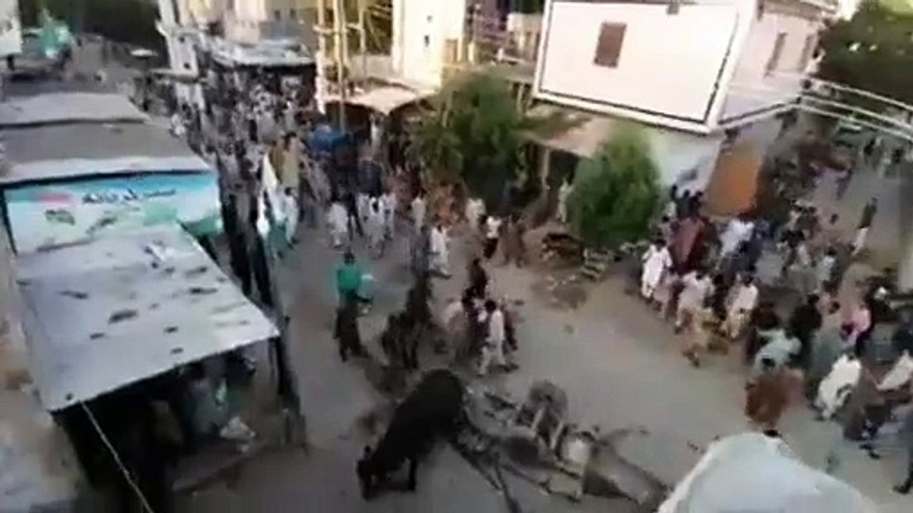 Cow Qurbani | Funny Compilation of Cow Running in Karachi Road | Eid Ul Adha 2018 & 2019