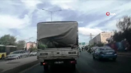 Kamyonet kasasındaki şahsın tehlikeli dansı kamerada